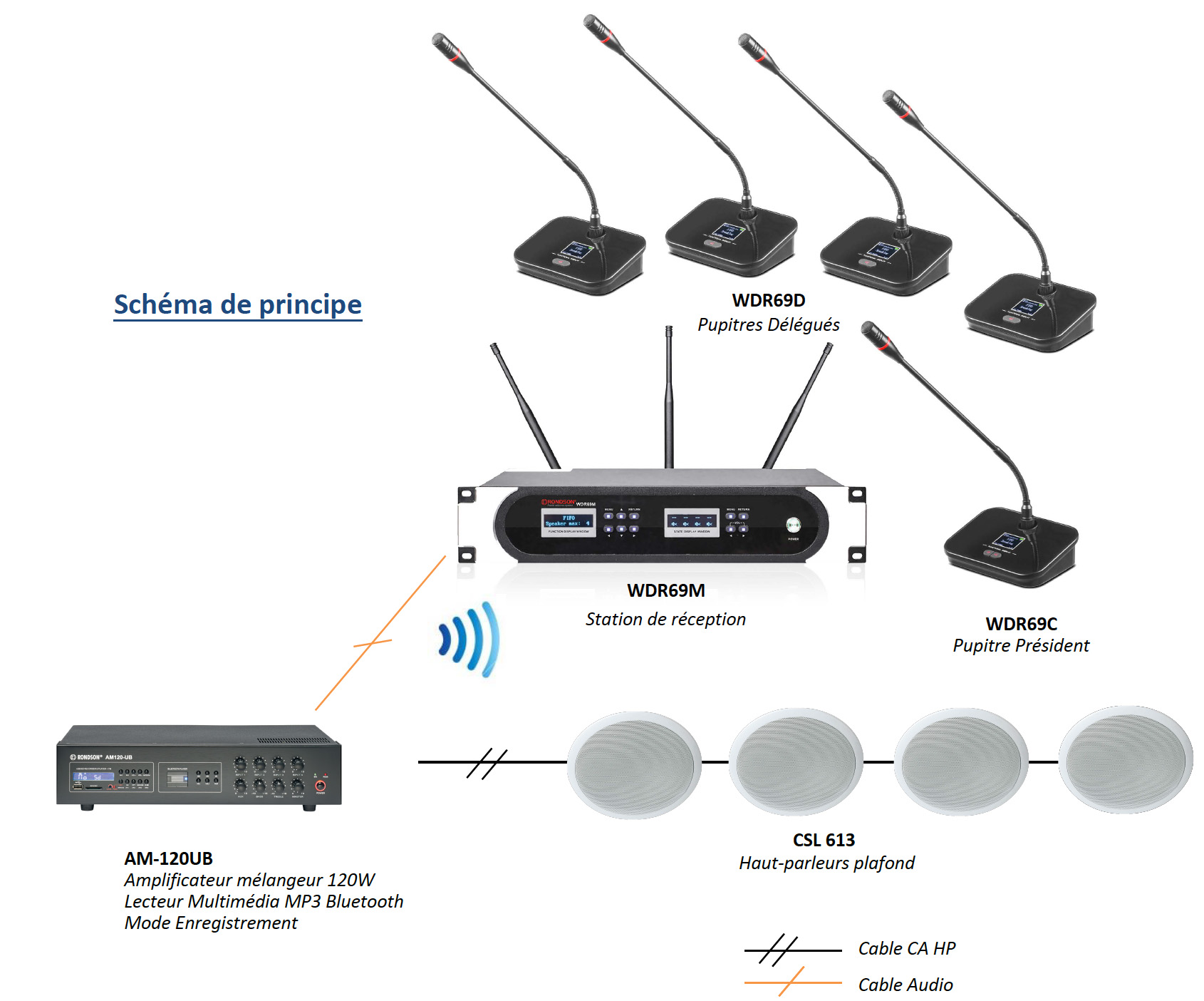 Système de micros sans-fil HF pour salle de conférence : Devis sur  Techni-Contact - matériel de sonorisation