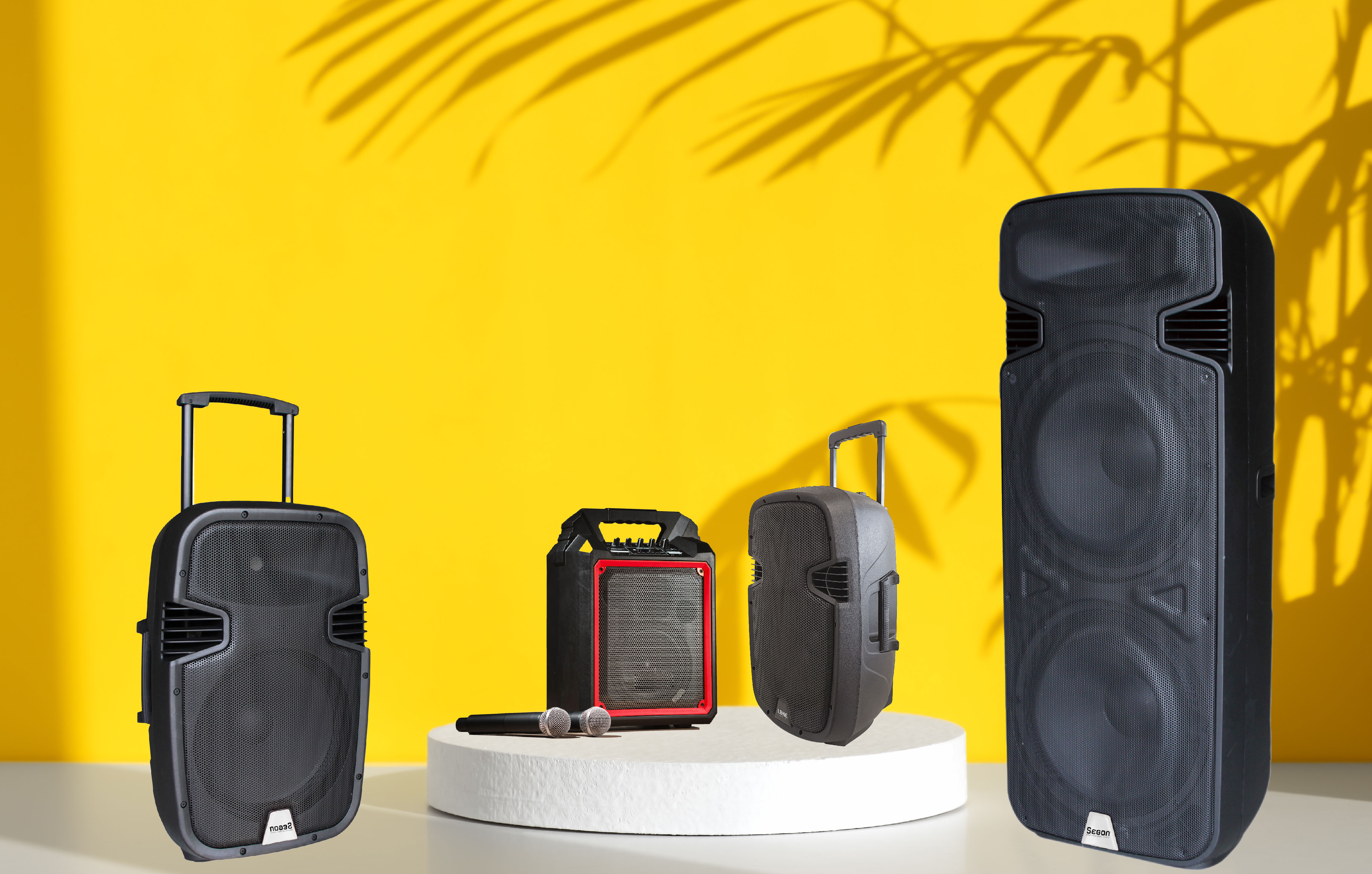 Comment choisir sa sono portable ?